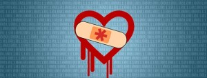 OpenSSL Heartbleed repaired header