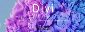 Divi 2.3 nl_NL.po